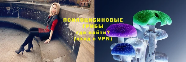 твердый Пересвет