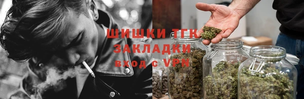 твердый Пересвет
