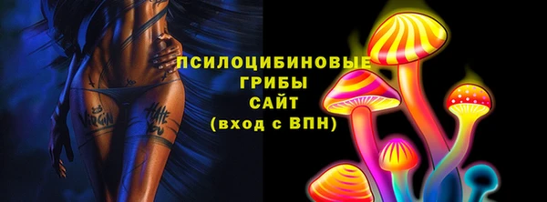 твердый Пересвет