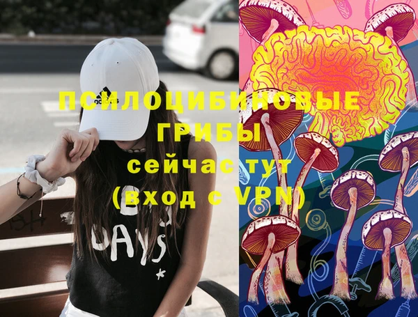 твердый Пересвет