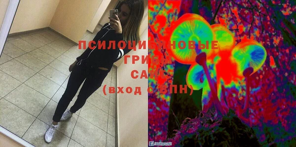 молекула духа Щучье