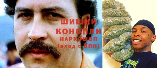 твердый Пересвет