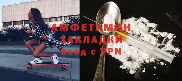 твердый Пересвет