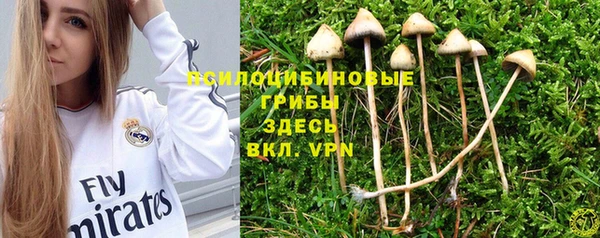 мескалин Пестово