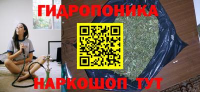 дурь Берёзовский