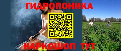 дурь Берёзовский