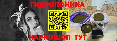 дурь Берёзовский