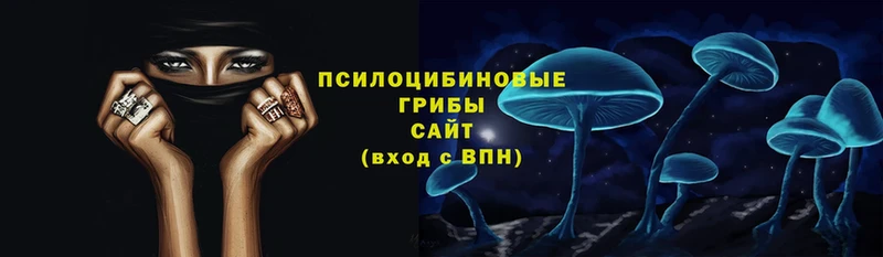 Псилоцибиновые грибы Magic Shrooms  kraken как войти  Лениногорск  где продают наркотики 