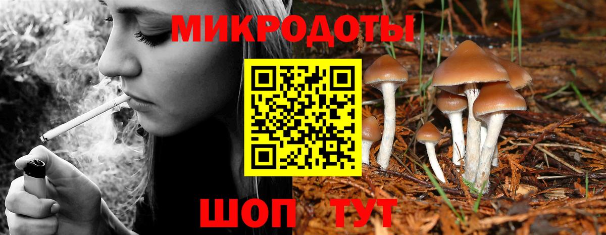 Лениногорск  Псилоцибиновые грибы Psilocybine cubensis  сколько стоит  Вход с VPN 