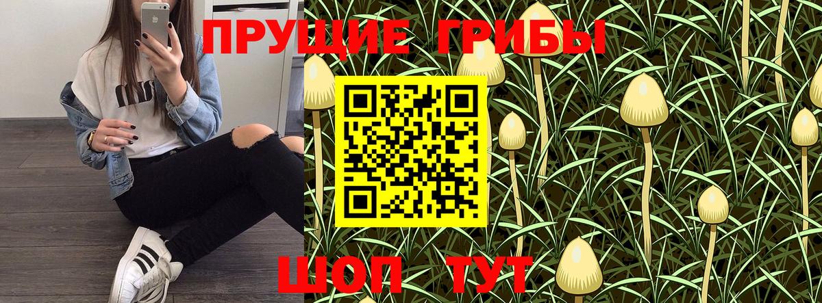 Галлюциногенные грибы мицелий Лениногорск